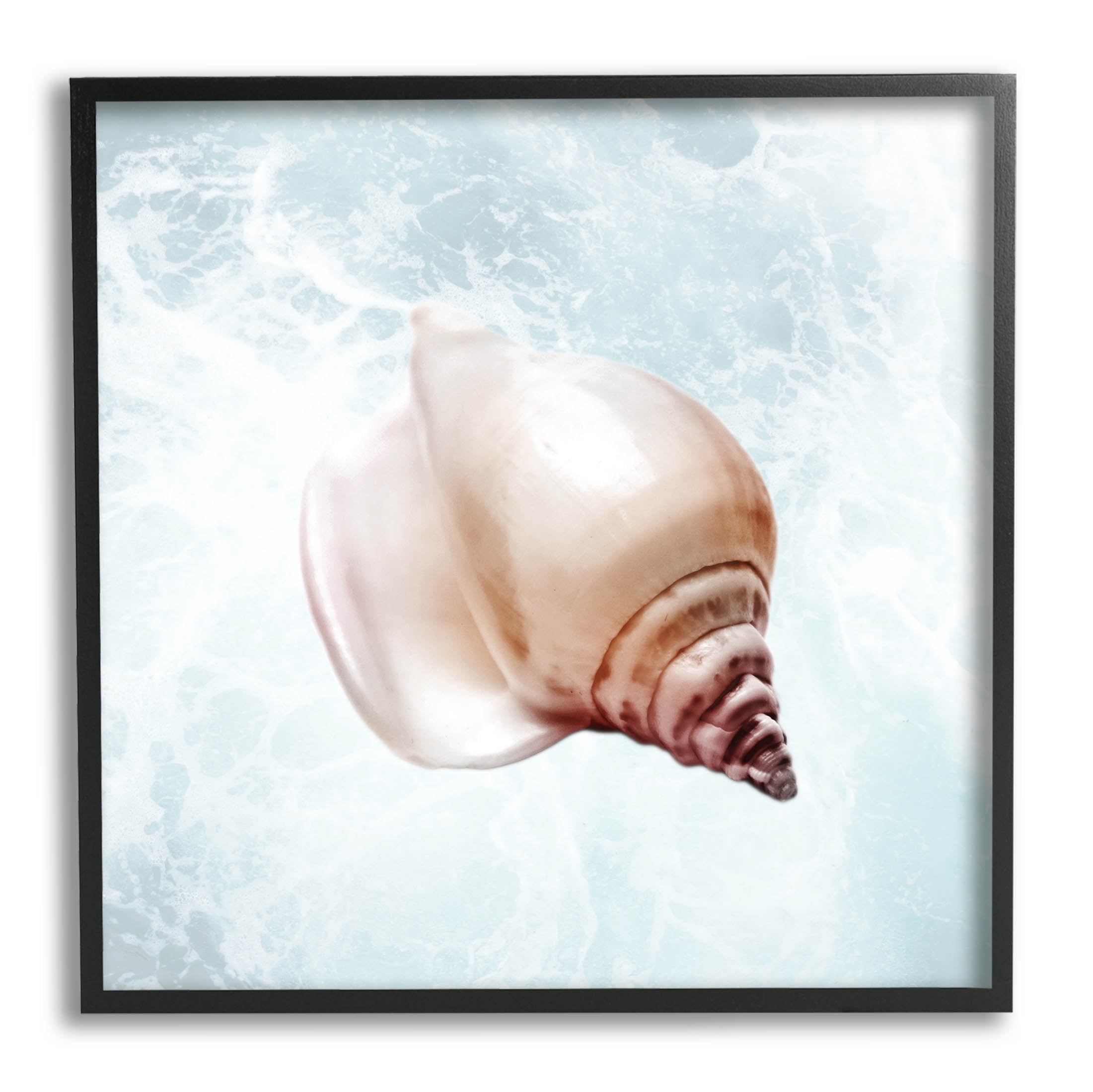 Stupell Industries Nautical Beach Seashell Graphic Art Black Framed Art Print Wall Art, Design by Marcus Prime