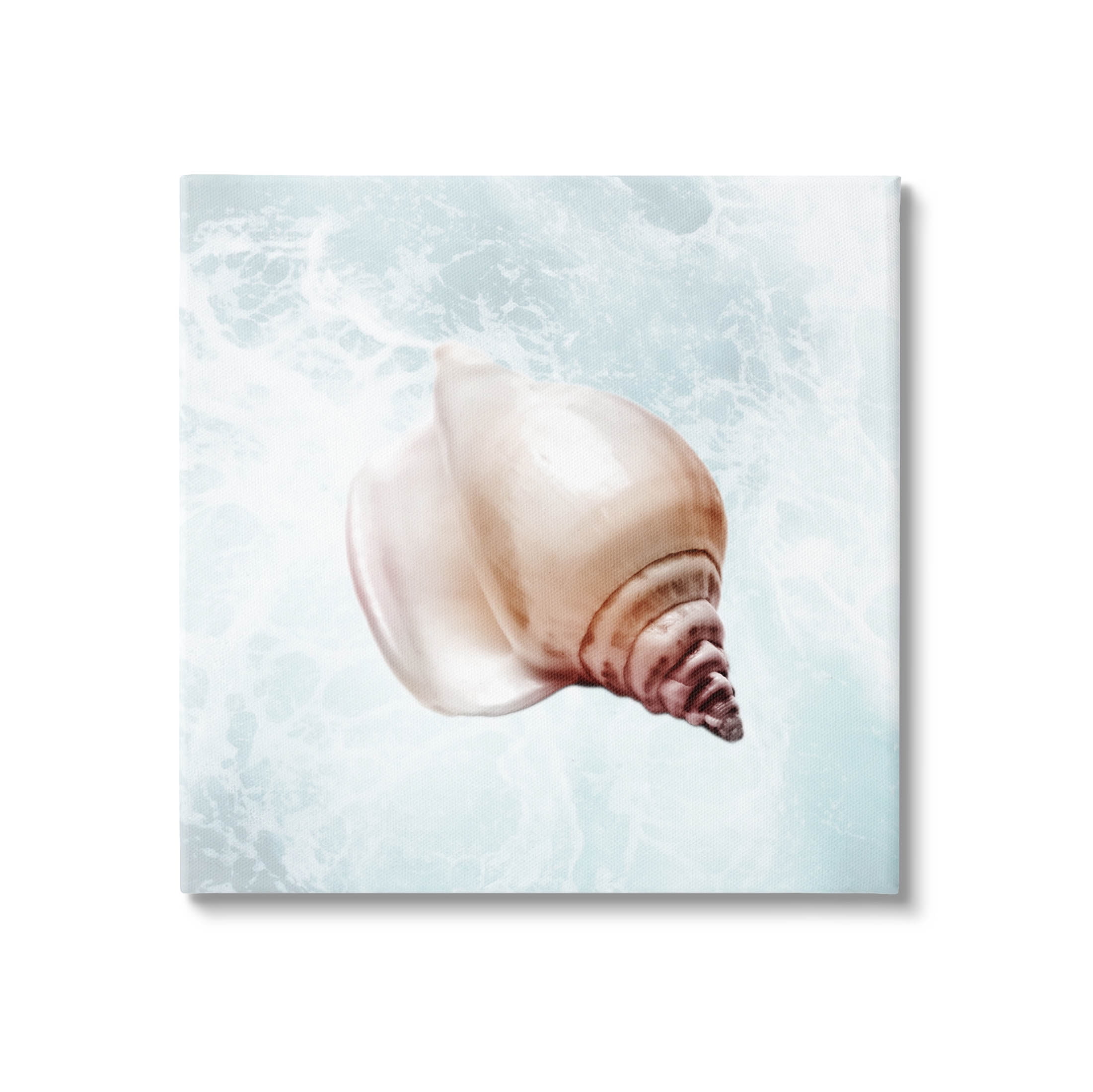 Nautical Beach Seashell Canvas Art in Light Blue and Beige