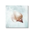 thumbnail image 1 of Stupell Industries Nautical Beach Seashell Graphic Art Gallery Wrapped Canvas Print Wall Art, Design by Marcus Prime, 1 of 4