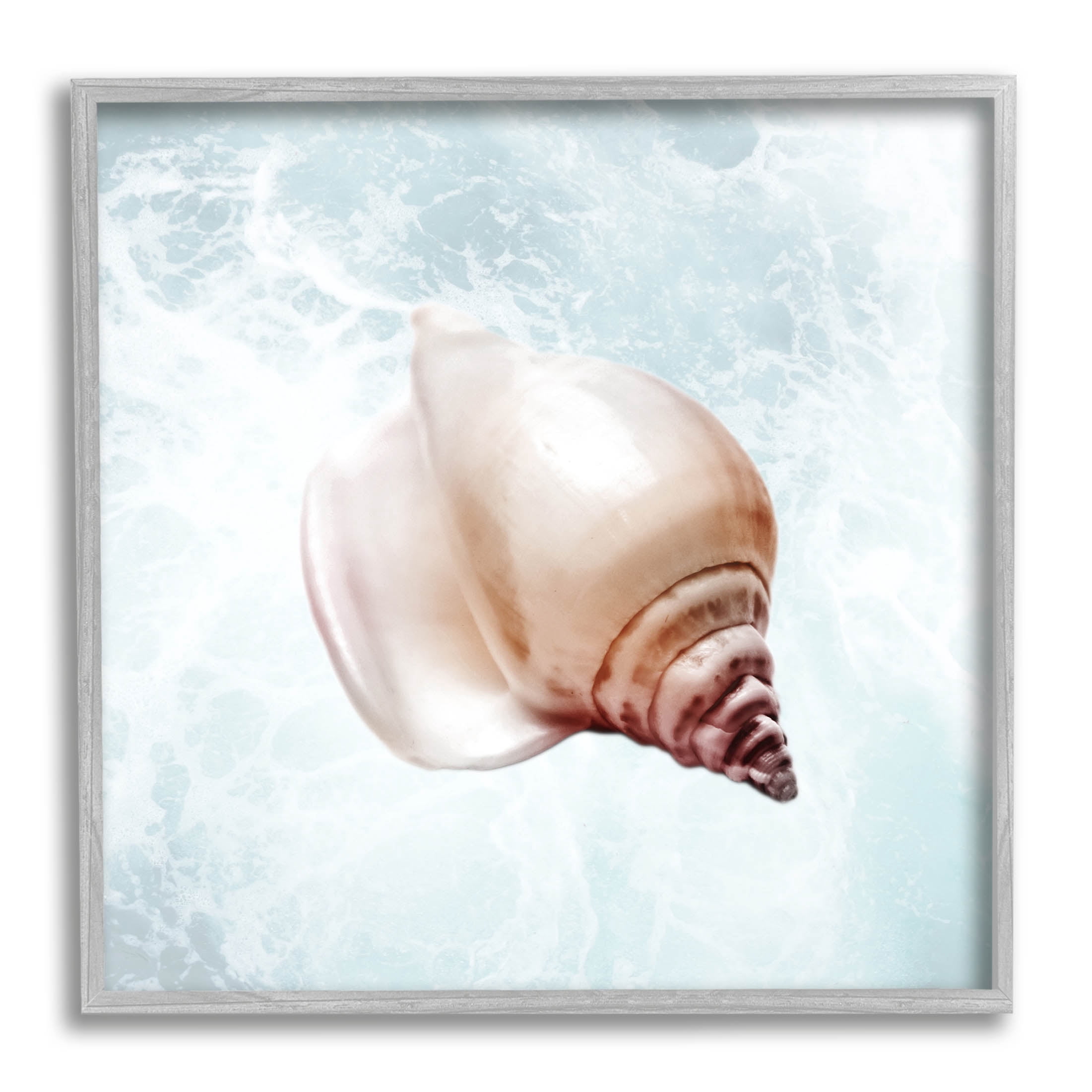Stupell Industries Nautical Beach Seashell Graphic Art Gray Framed Art Print Wall Art, Design by Marcus Prime
