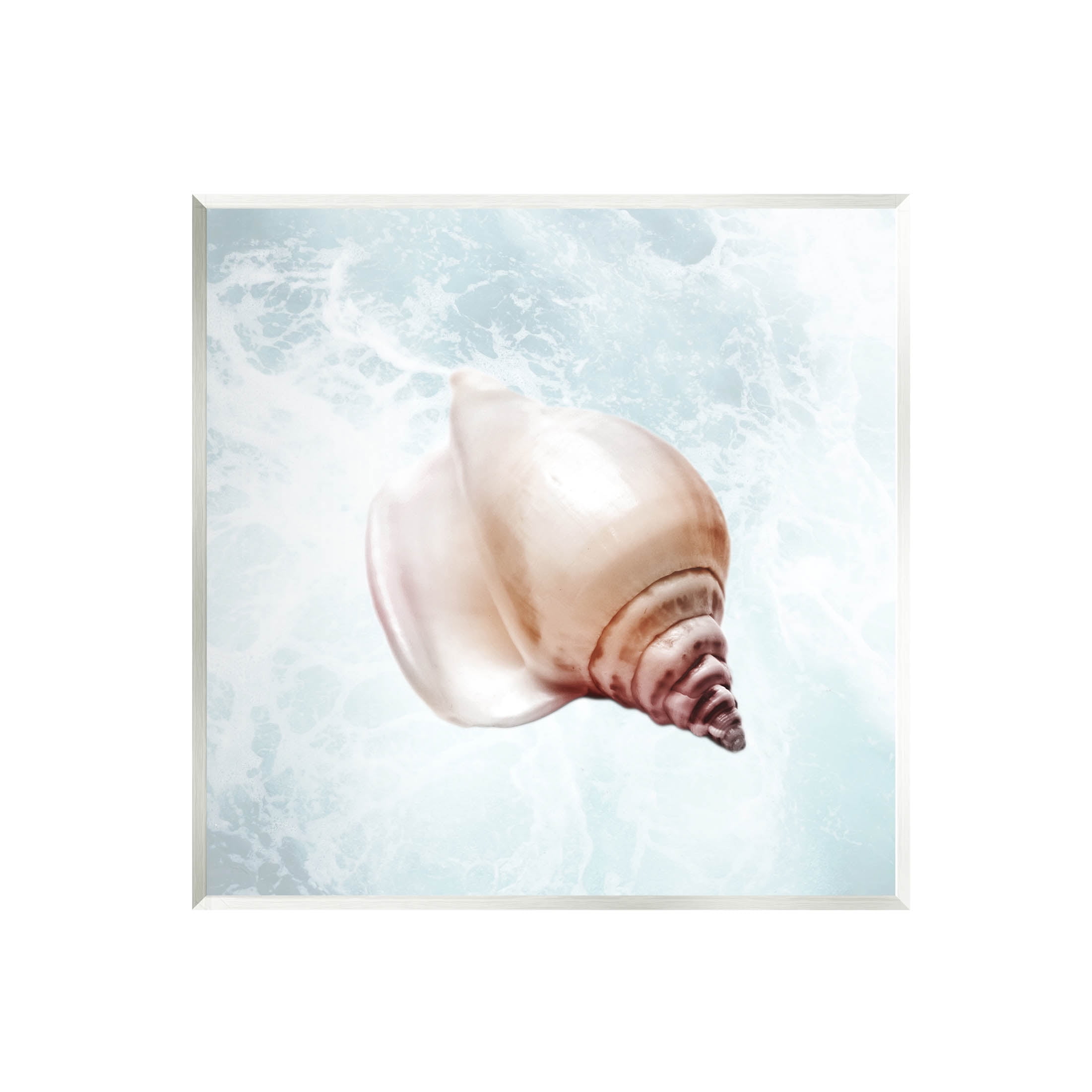 Stupell Industries Nautical Beach Seashell Graphic Art Unframed Art Print Wall Art, Design by Marcus Prime