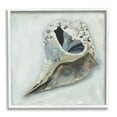 thumbnail image 1 of Stupell Industries Nautical Conch Seashell Painting White Framed Art Print Wall Art, Design by Erica Christopher, 1 of 7