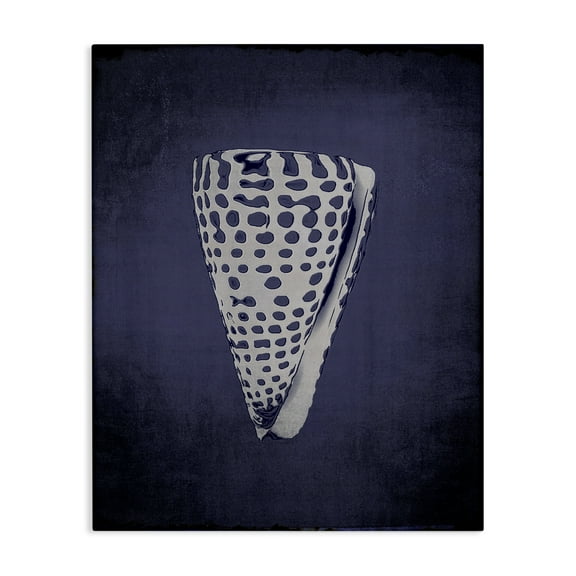 Stupell Industries Nautical Cone Shell Nautical & Beach Painting Wrapped Canvas Art Print Wall Art, 24 x 30