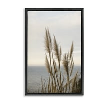 Stupell Industries Nautical Cove Grasses Nautical & Beach Photography Black Floater Framed Canvas Art Print Wall Art, 17 x 25