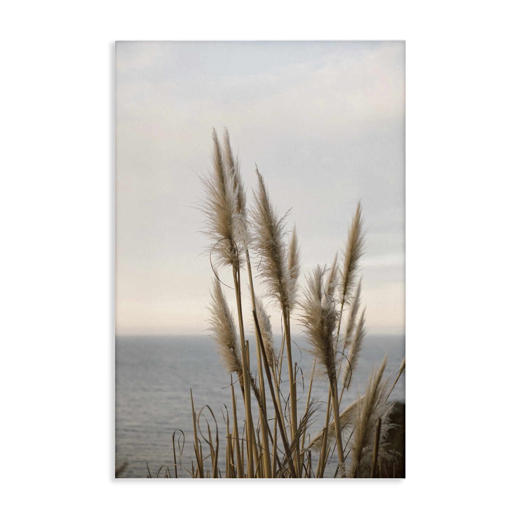 Stupell Industries Nautical Cove Grasses Nautical & Beach Photography Wrapped Canvas Art Print Wall Art, 20 x 30