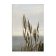 thumbnail image 1 of Stupell Industries Nautical Cove Grasses Nautical & Beach Photography Wrapped Canvas Art Print Wall Art, 20 x 30, 1 of 8