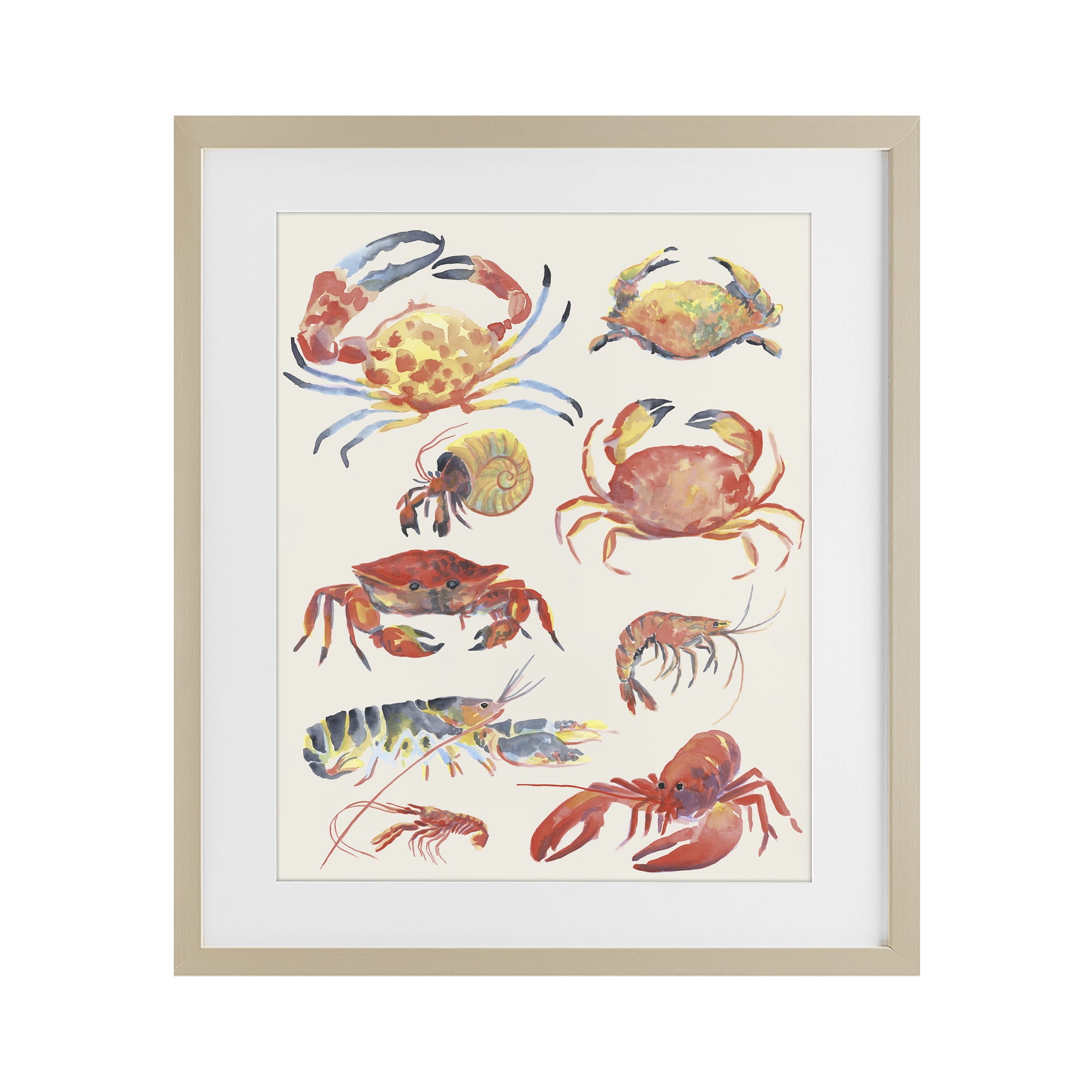 Stupell Industries Nautical Crustacean Collection Birch Framed Print Under Glass, design by June Erica Vess