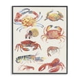 thumbnail image 1 of Stupell Industries Rustic Lodge Nautical Crustacean Collection Black Framed Giclee Art, 11 x 14, by June Erica Vess, 1 of 8