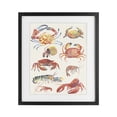 thumbnail image 1 of Stupell Industries Rustic Lodge Nautical Crustacean Collection Black Framed Print Under Glass, 13 x 16, by June Erica Vess, 1 of 8