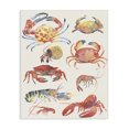 thumbnail image 1 of Stupell Industries Rustic Lodge Nautical Crustacean Collection Canvas Art, 16 x 20, by June Erica Vess, 1 of 8