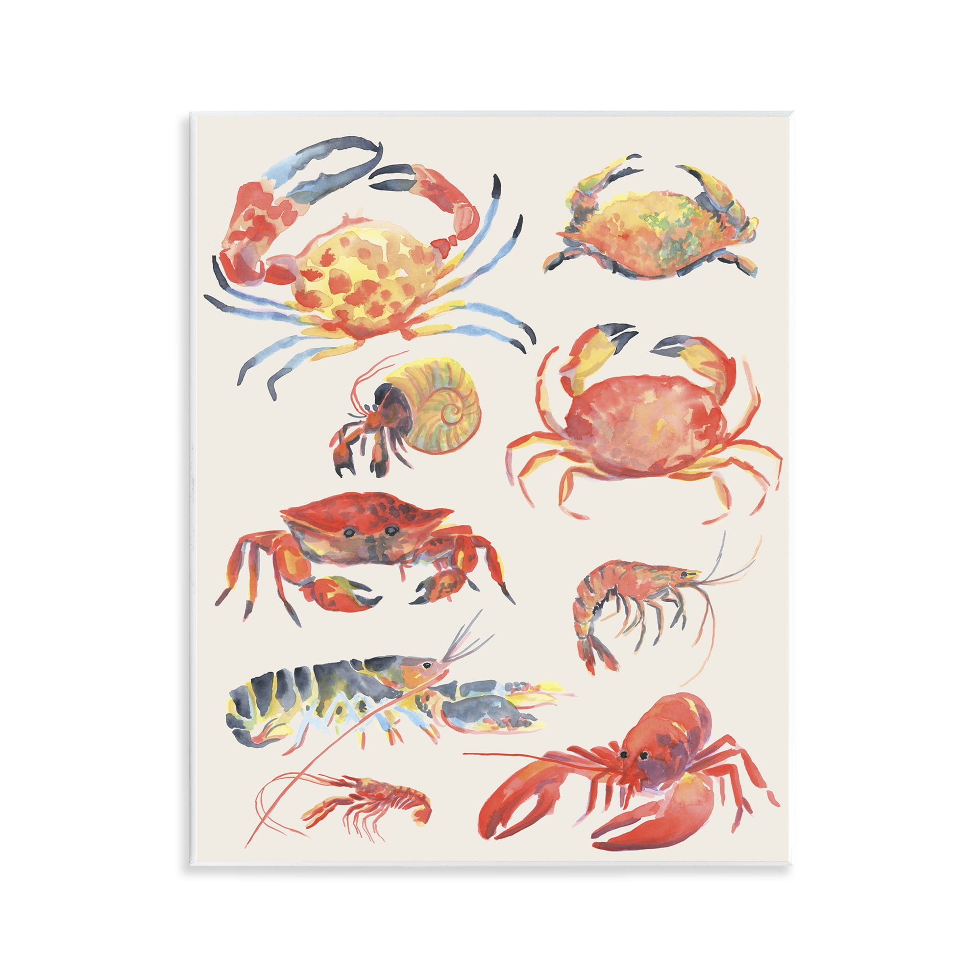 Stupell Industries Nautical Crustacean Collection Wall Plaque Art, design by June Erica Vess