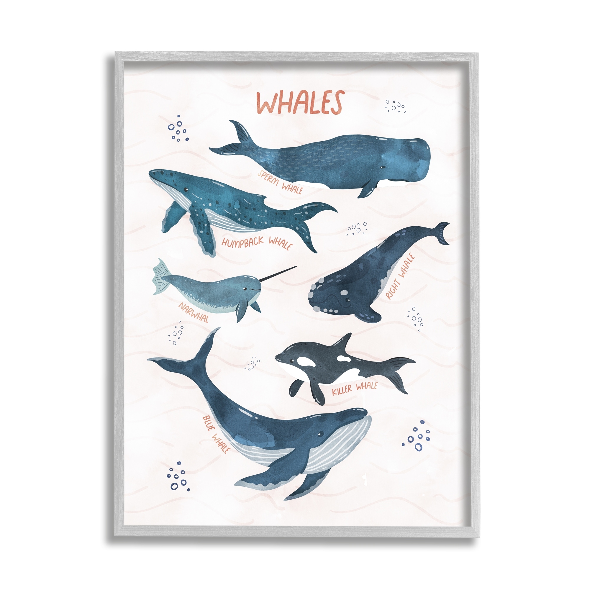 Stupell Industries Nautical Diagram Whale Narwhal Types Bubbles Illustration , 11 x 14, Design by Nina Blue