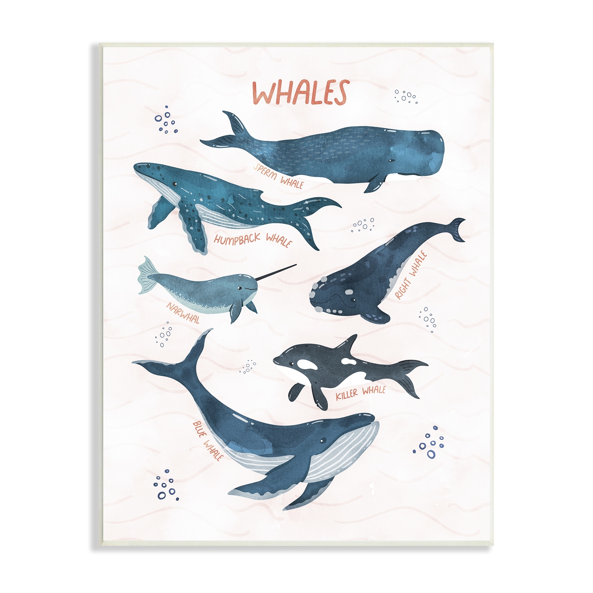 Stupell Industries Nautical Diagram Whale Narwhal Types Bubbles Illustration , 13 x 19, Design by Nina Blue