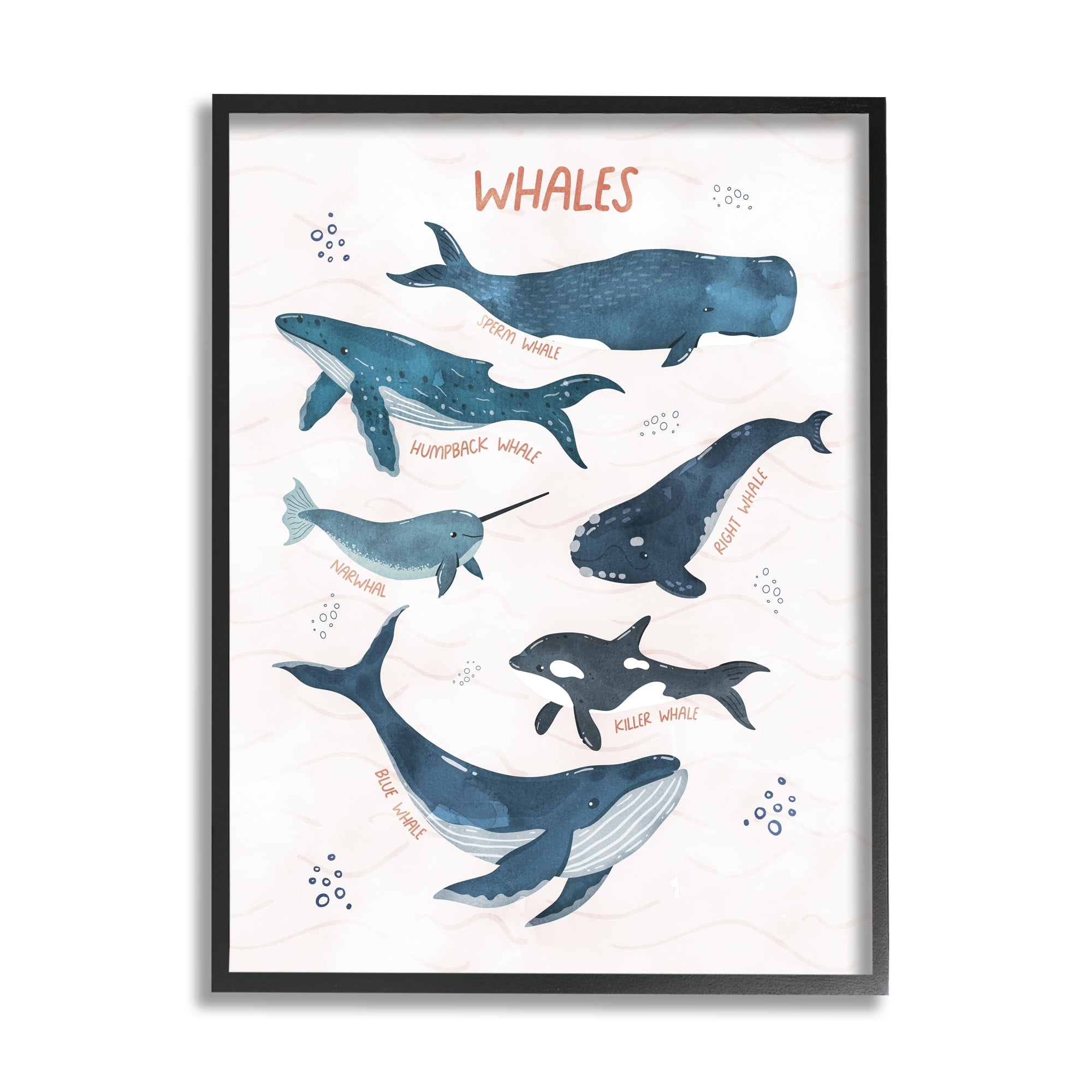 Stupell Industries Nautical Diagram Whale Narwhal Types Bubbles Illustration Graphic Art Black Framed Art Print Wall Art, 11x14, by Nina Blue