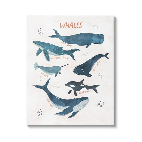 Stupell Industries Nautical Diagram Whale Narwhal Types Bubbles Illustration Graphic Art Gallery-Wrapped Canvas Print Wall Art, 36x48, by Nina Blue