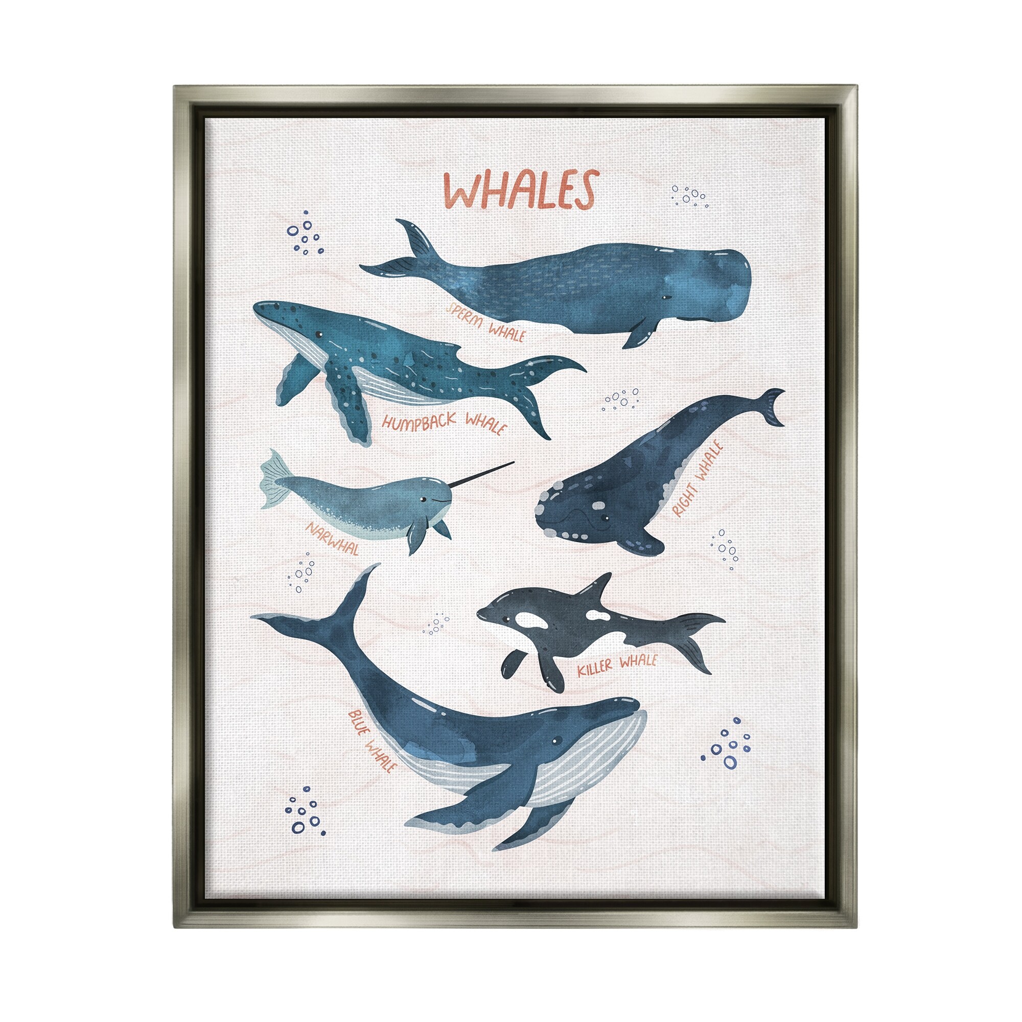Stupell Industries Nautical Diagram Whale Narwhal Types Bubbles Illustration Luster Gray Framed Floating Canvas Wall Art, 16x20, by Nina Blue
