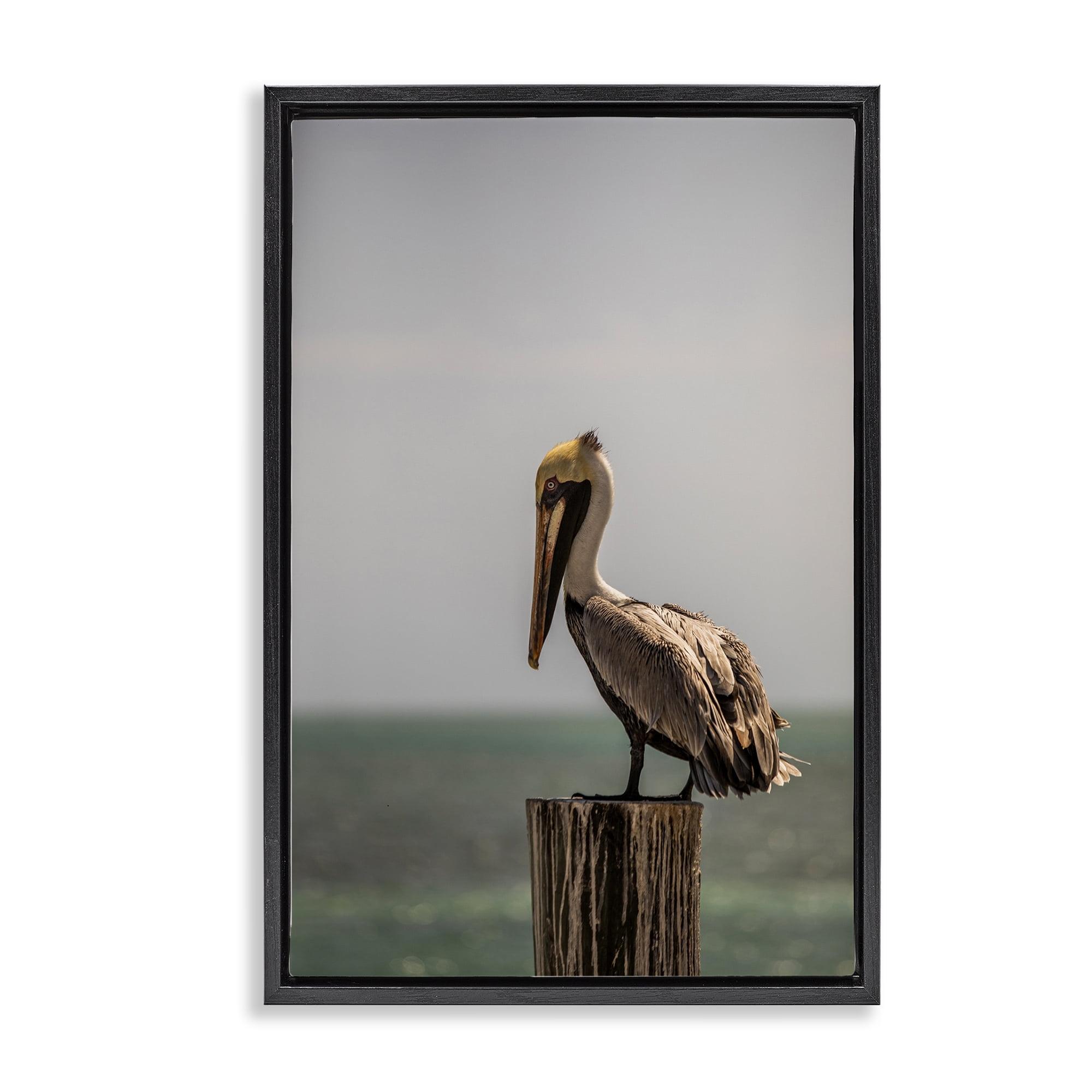 Stupell Industries Nautical Landscape Pelican Animals Photography Black Floater Framed Canvas Art Print Wall Art, 21 x 31
