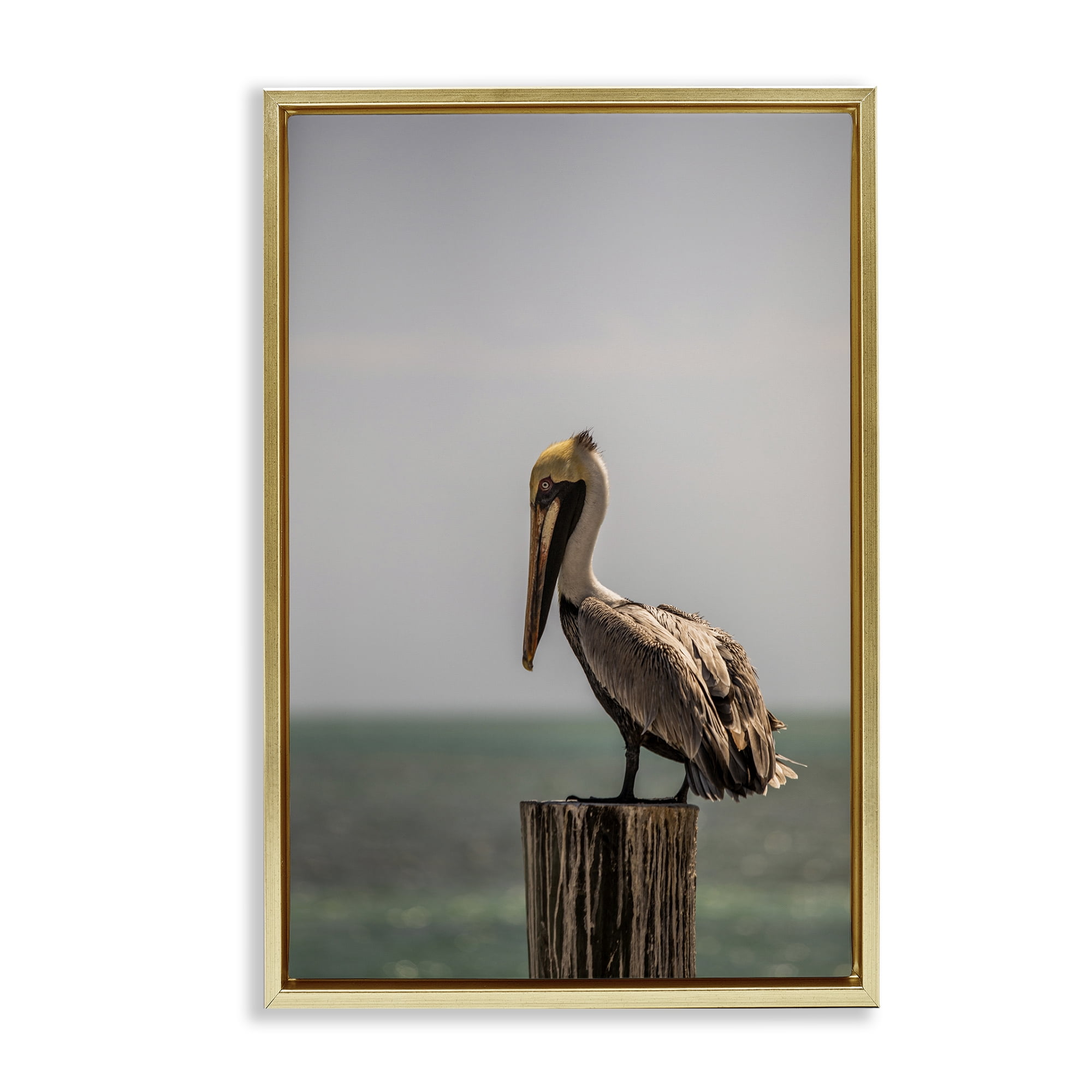 Stupell Industries Nautical Landscape Pelican Animals Photography Gold Floater Framed Canvas Art Print Wall Art, 21 x 31