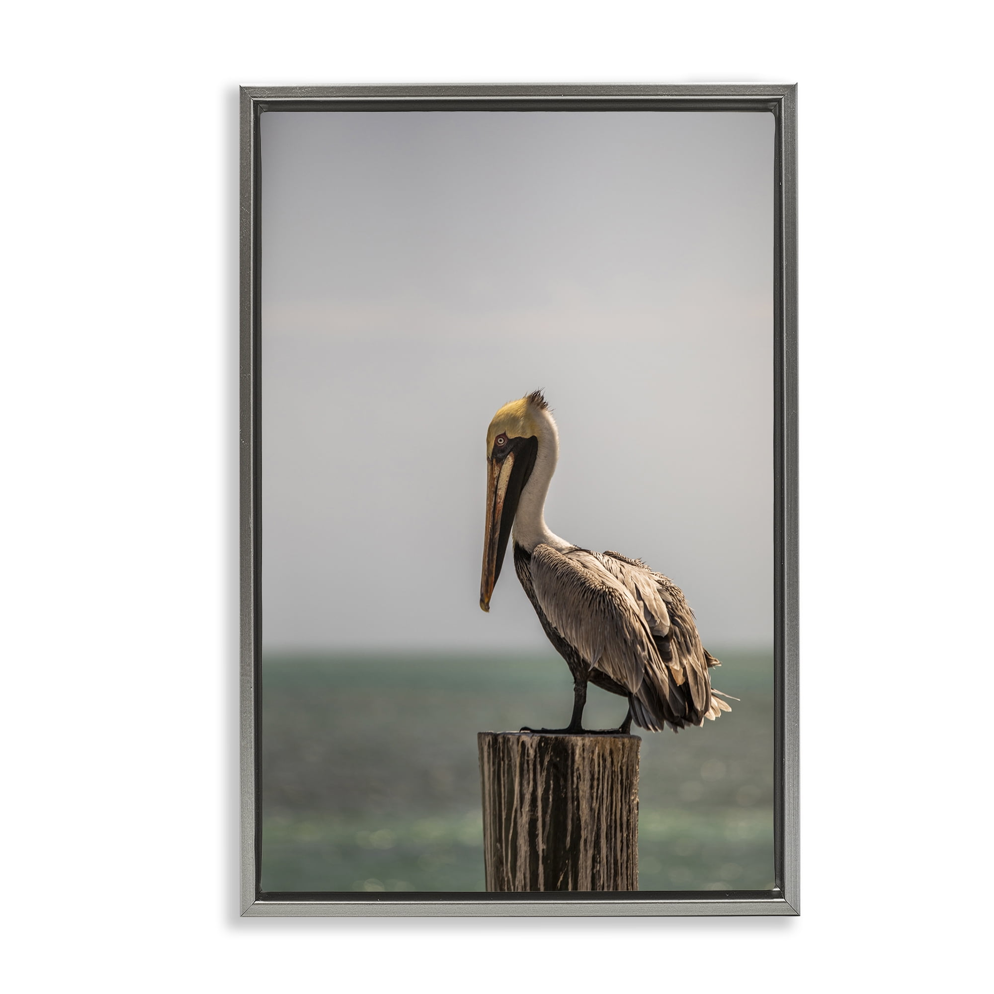 Stupell Industries Nautical Landscape Pelican Animals Photography Gray Floater Framed Canvas Art Print Wall Art, 17 x 25