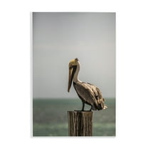 Stupell Industries Nautical Landscape Pelican Animals Photography Unframed Art Print Wall Art, 10 x 15