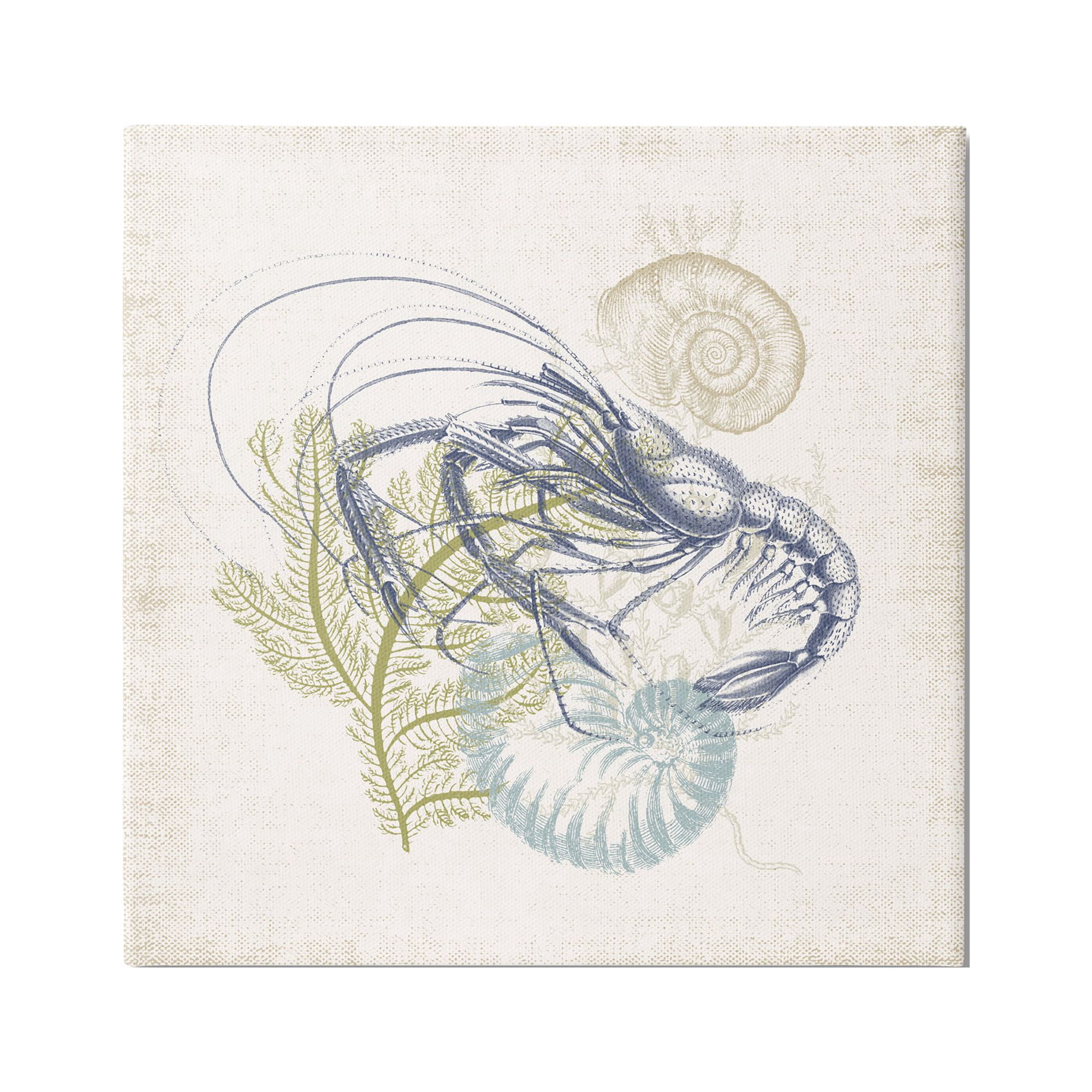Stupell Industries Nautical Layered Sea Life Crawdad Ocean Botanicals Graphic Art Gallery Wrapped Canvas Print Wall Art, Design by Victoria Barnes