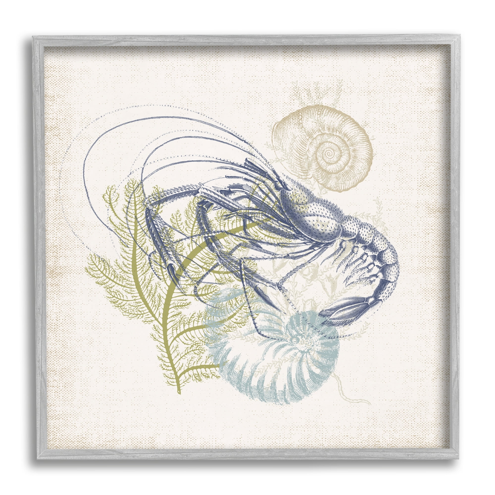 Stupell Industries Nautical Layered Sea Life Crawdad Ocean Botanicals Graphic Art Gray Framed Art Print Wall Art, Design by Victoria Barnes
