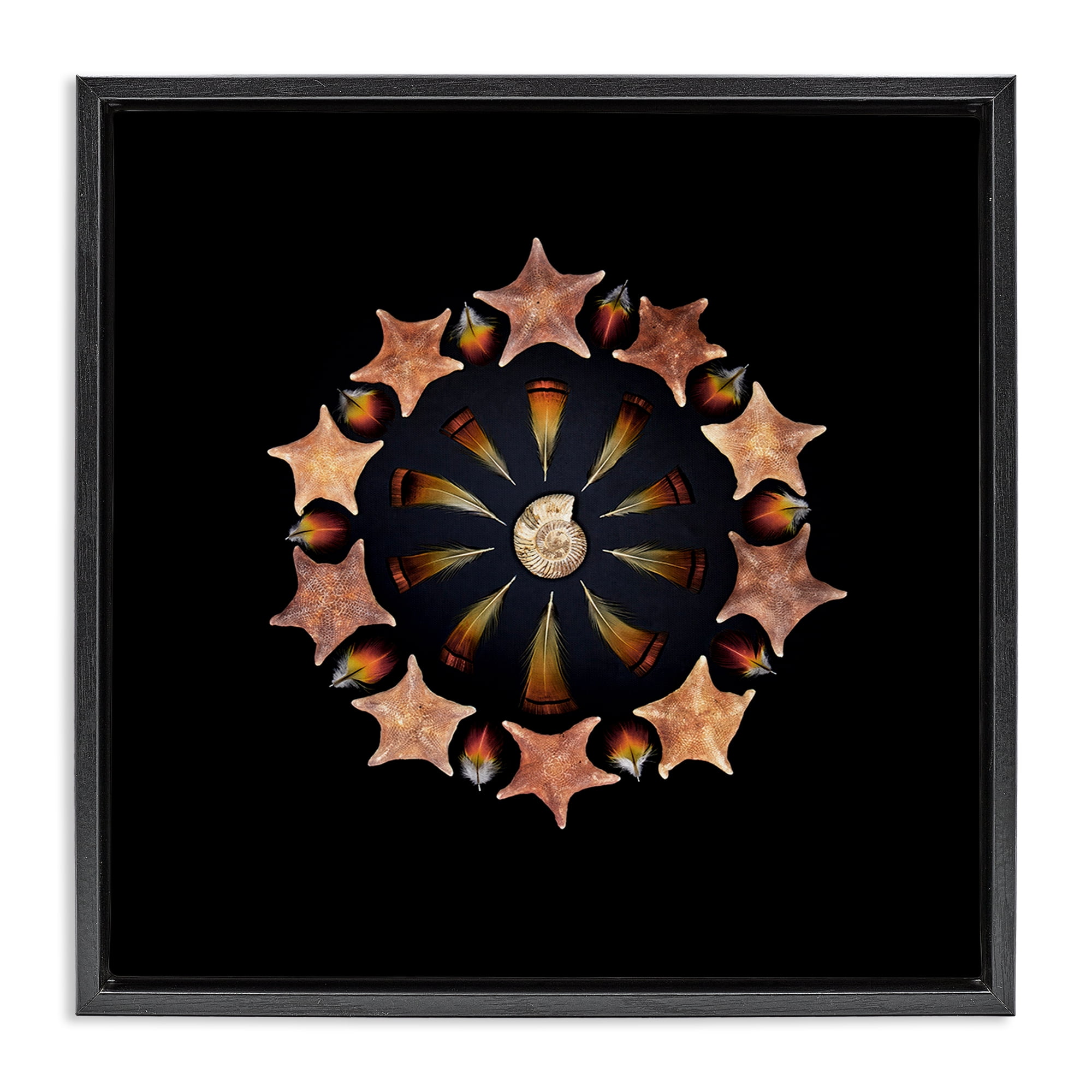 Stupell Industries Nautical Nature Arrangement Black Framed Floater Canvas Wall Art, design by Beth Adoette