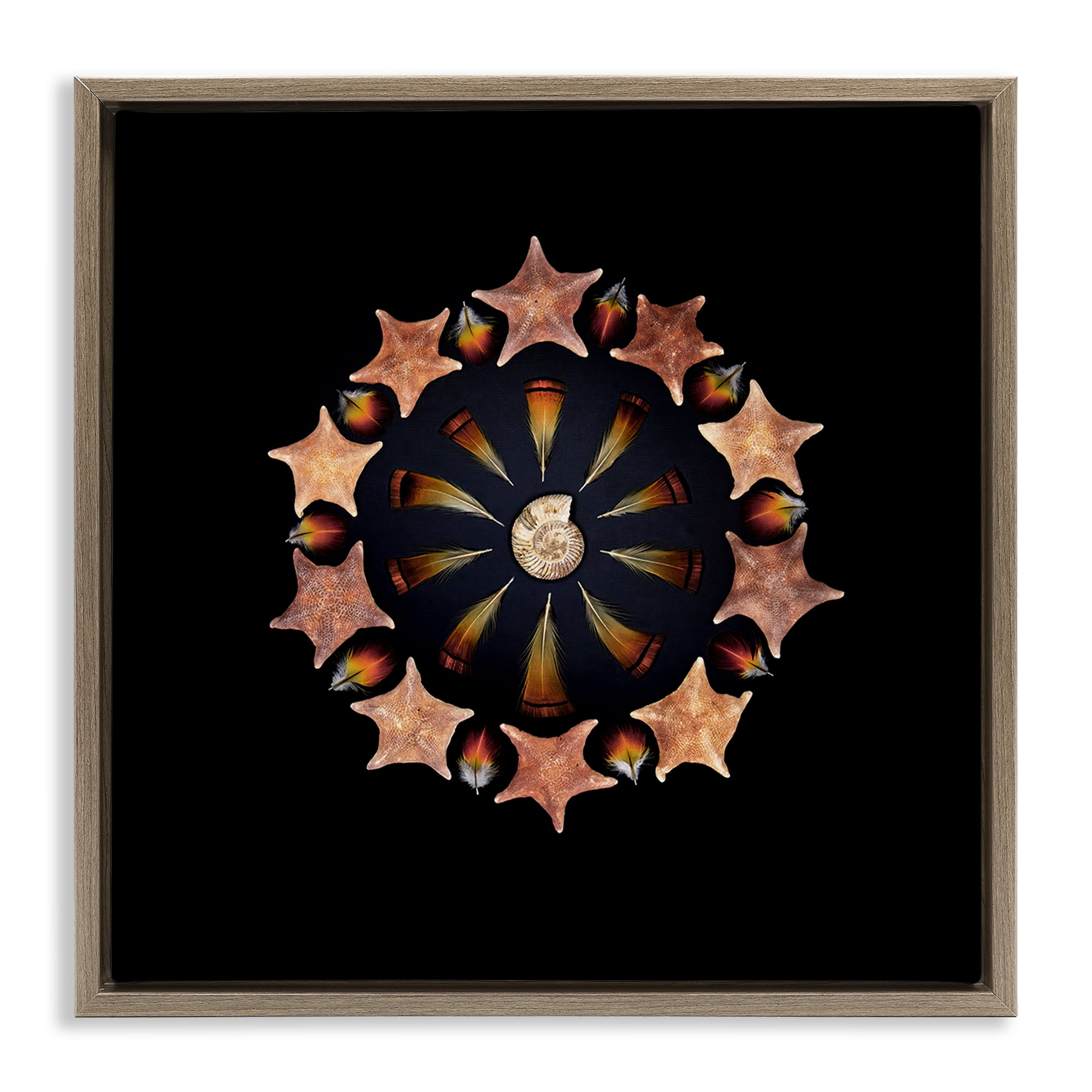 Stupell Industries Nautical Nature Arrangement Brown Framed Floater Canvas Wall Art, design by Beth Adoette
