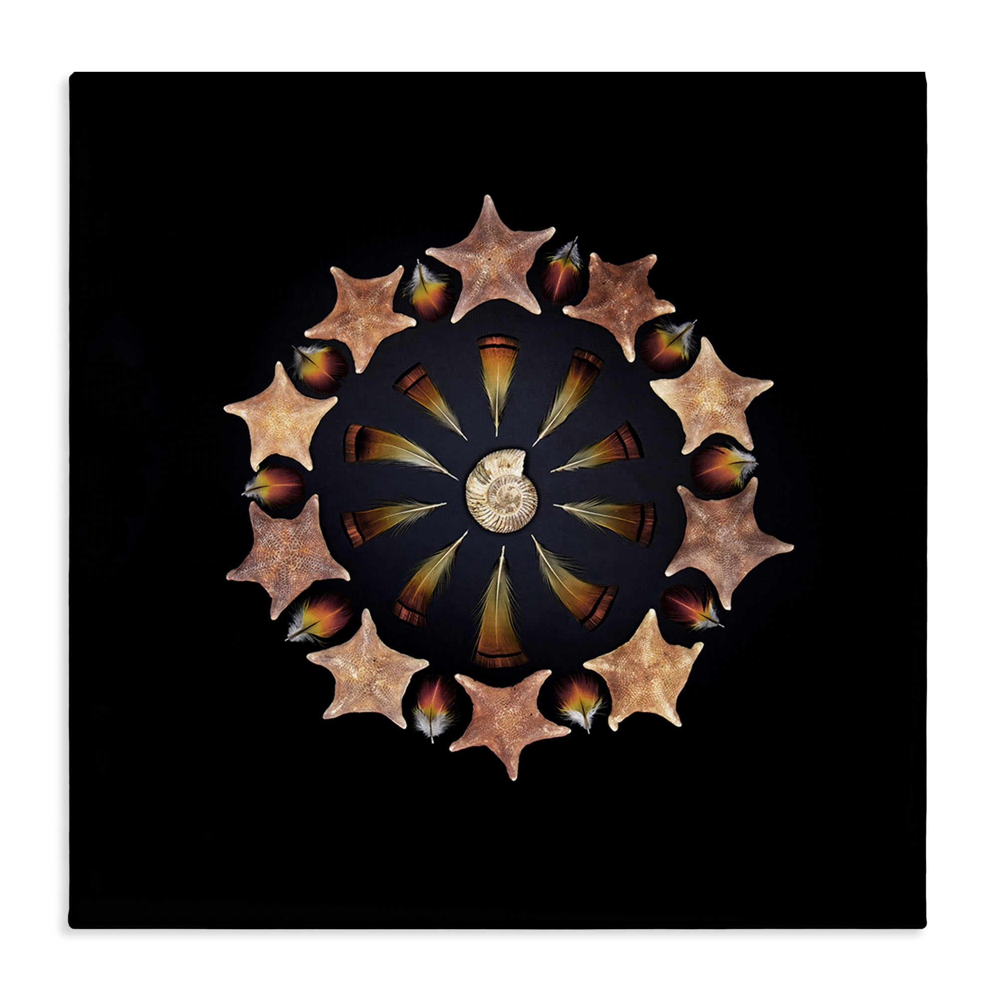 Stupell Industries Nautical Nature Arrangement Canvas Wall Art, design by Beth Adoette