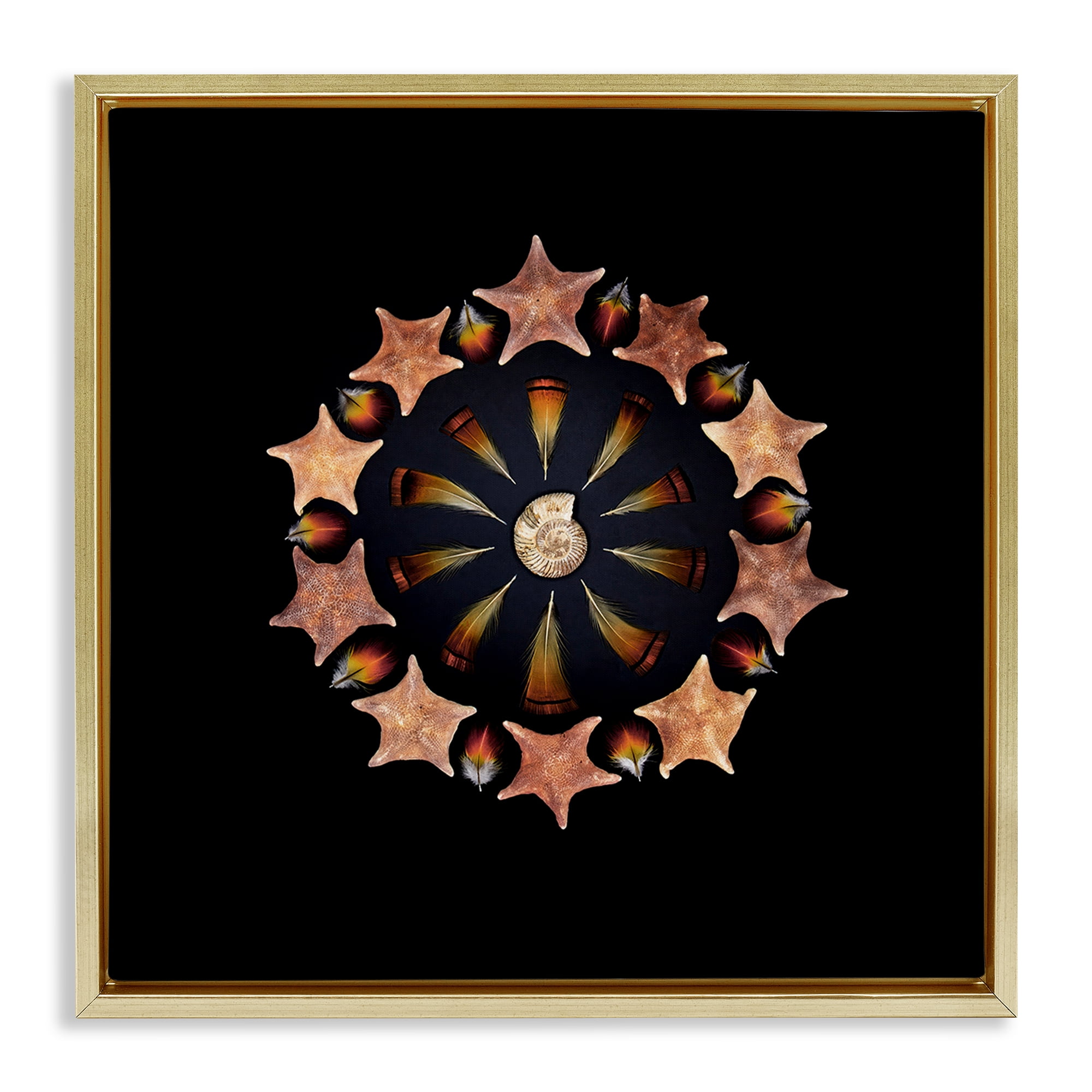 Stupell Industries Nautical Nature Arrangement Gold Framed Floater Canvas Wall Art, design by Beth Adoette