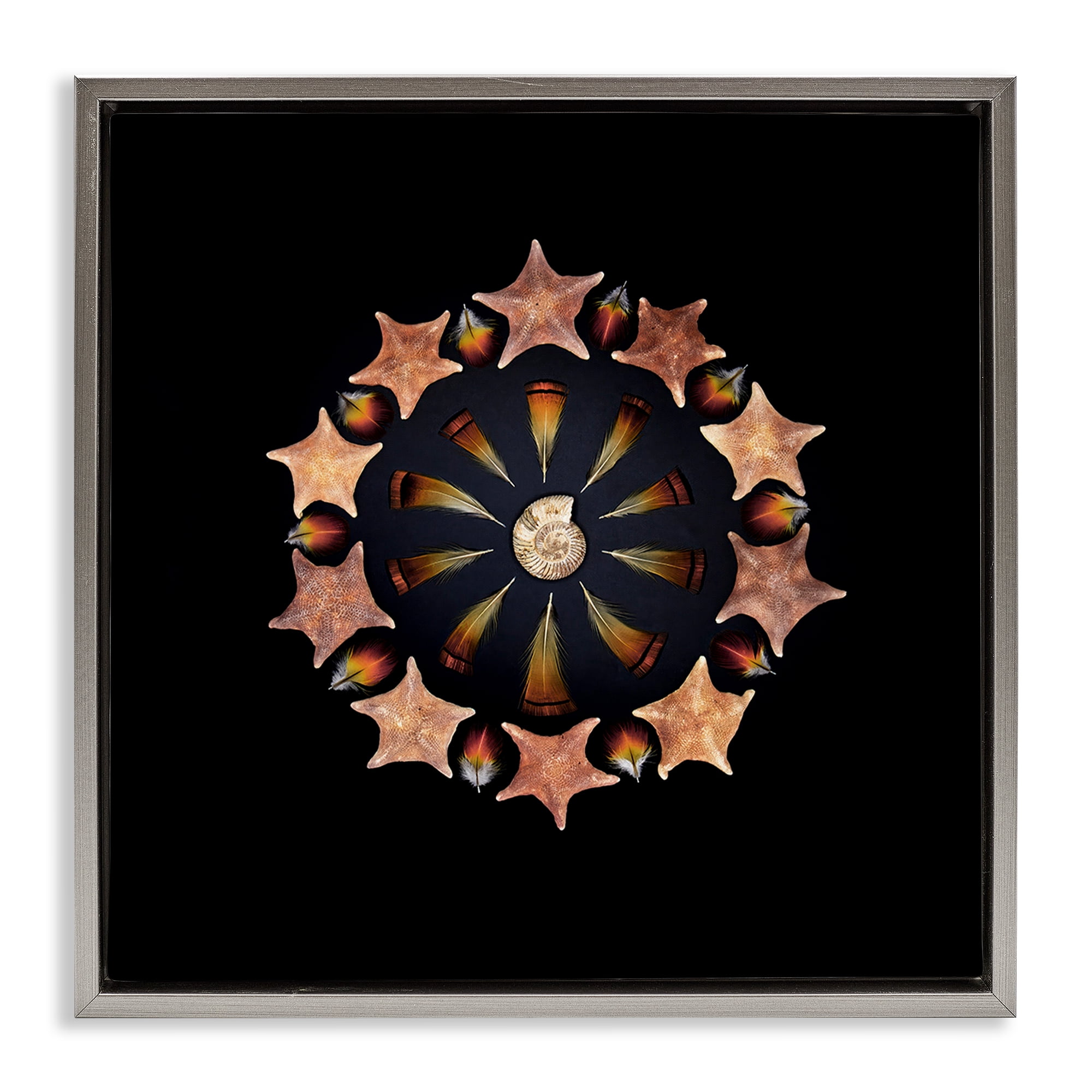 Stupell Industries Nautical Nature Arrangement Gray Framed Floater Canvas Wall Art, design by Beth Adoette