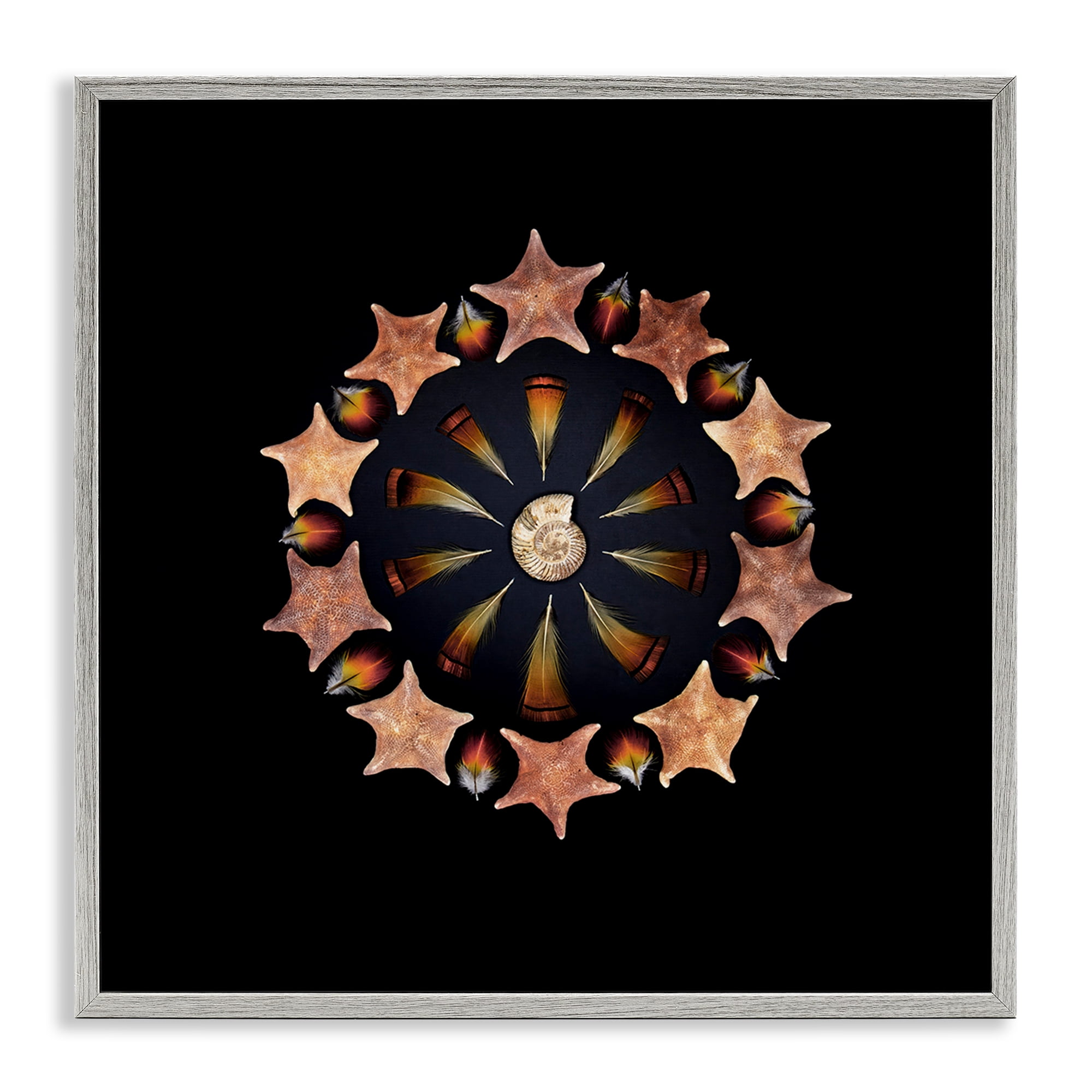 Stupell Industries Nautical Nature Arrangement Gray Framed Giclee Art, design by Beth Adoette