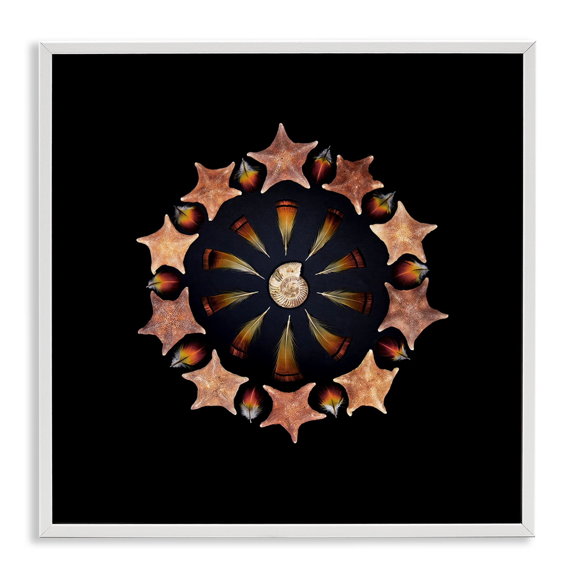 Stupell Industries Nautical Nature Arrangement White Framed Giclee Art, design by Beth Adoette