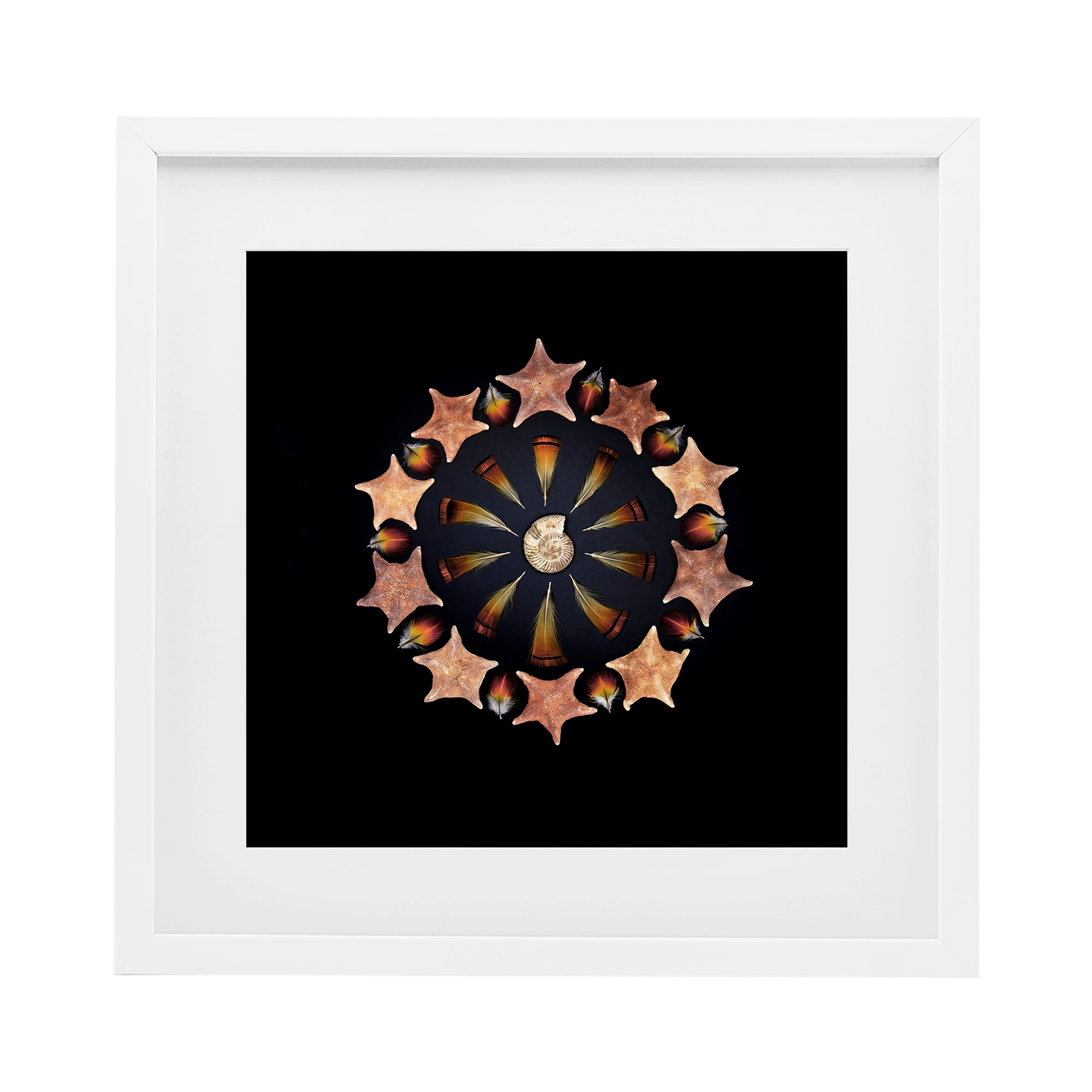 Stupell Industries Nautical Nature Arrangement White Framed Print Under Glass, design by Beth Adoette