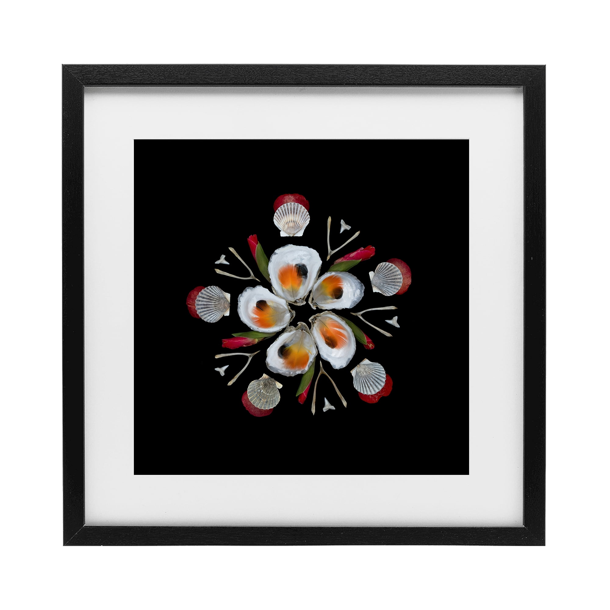 Stupell Industries Nautical Oysters Mandala Black Framed Print Under Glass, design by Beth Adoette