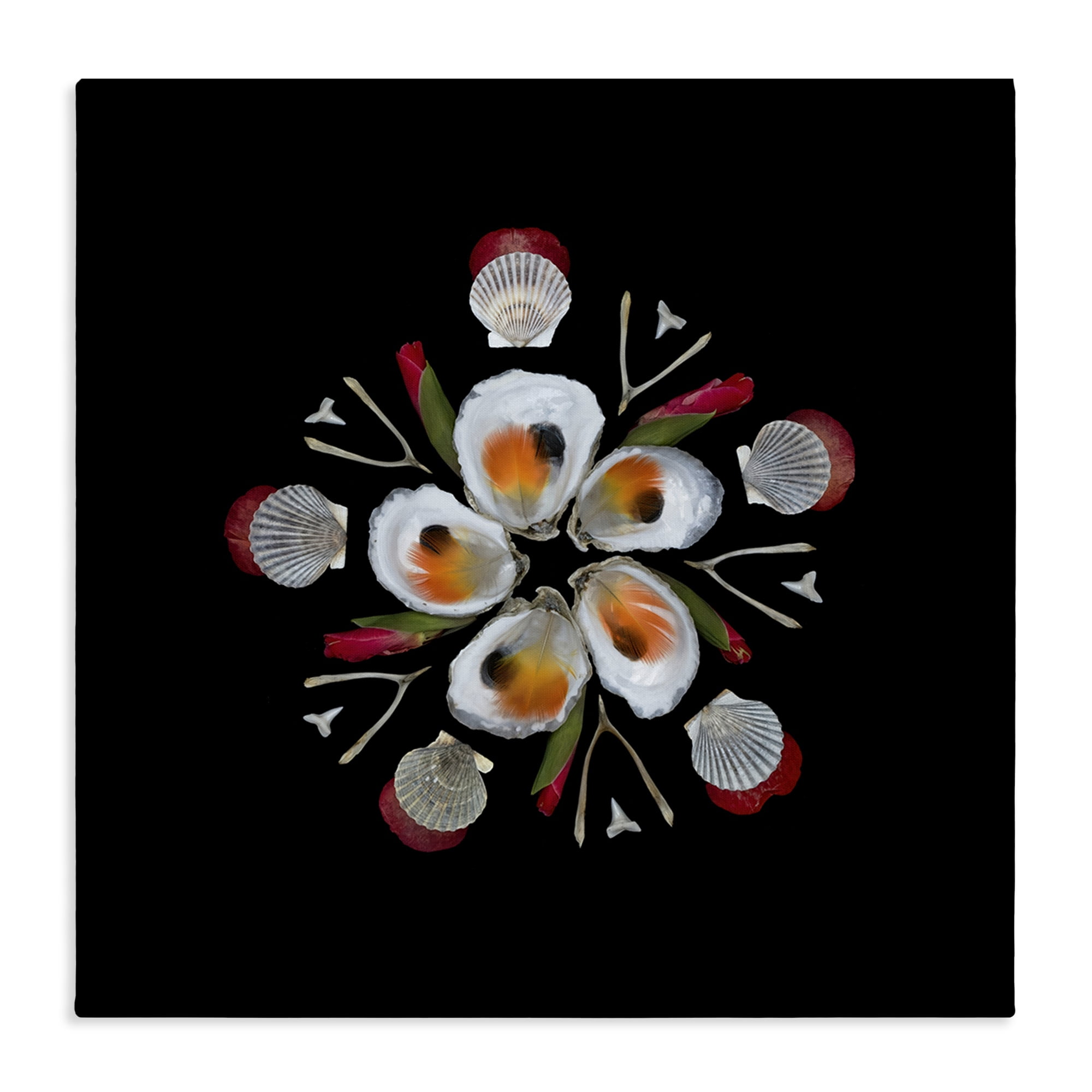 Stupell Industries Nautical Oysters Mandala Canvas Wall Art, design by Beth Adoette