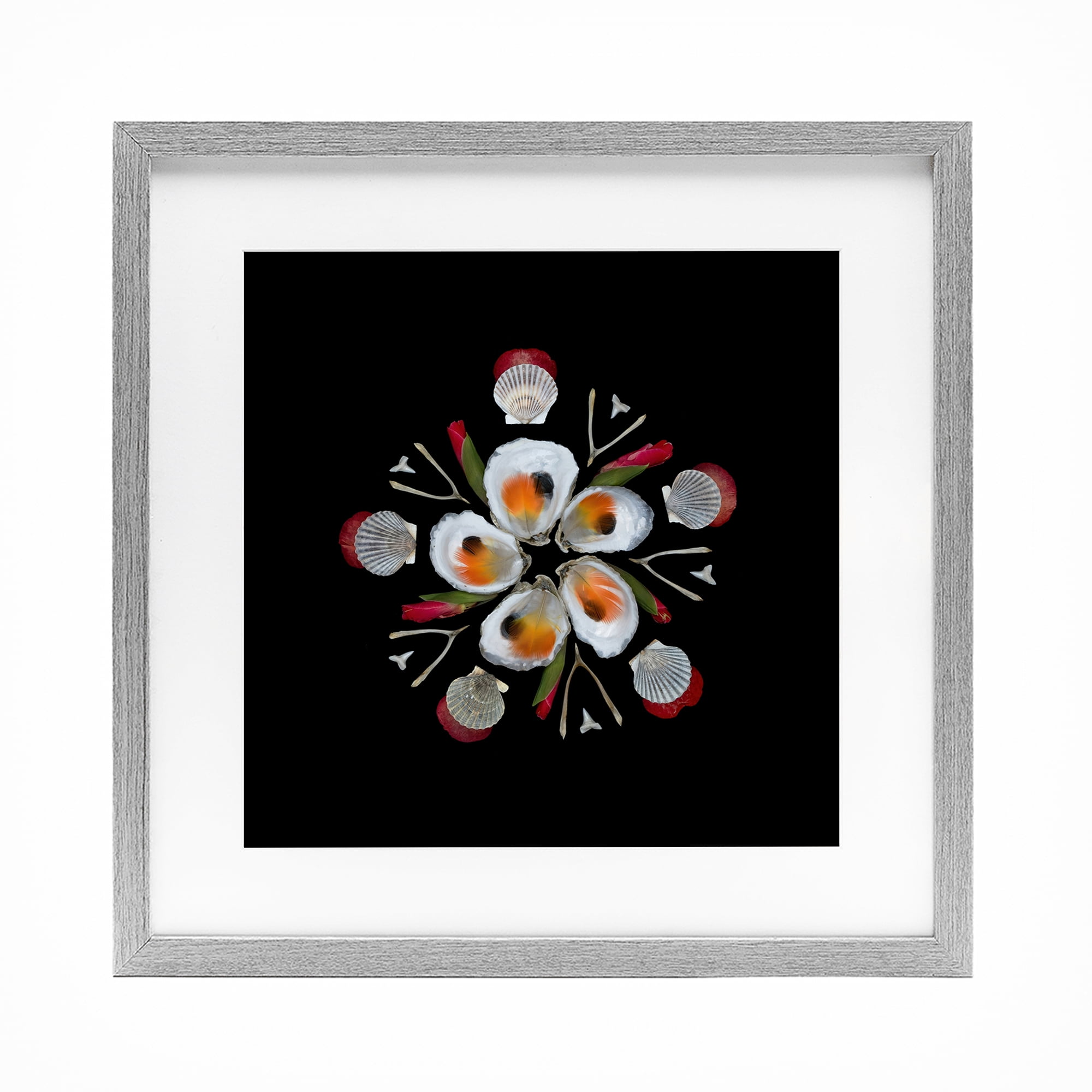 Stupell Industries Nautical Oysters Mandala Gray Framed Print Under Glass, design by Beth Adoette