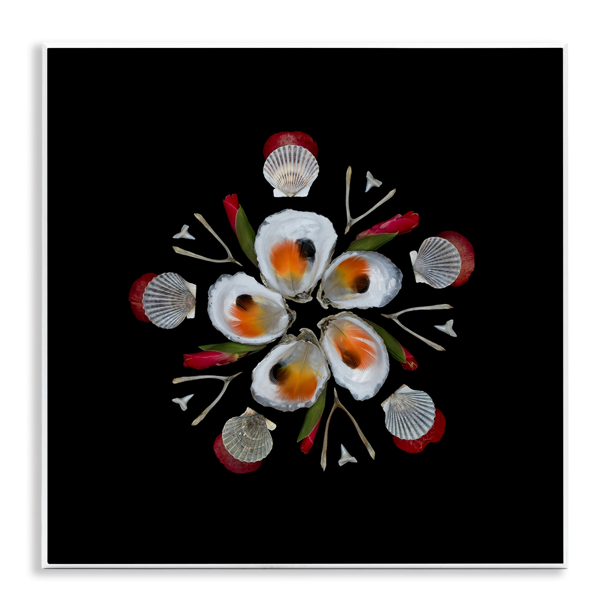 Stupell Industries Nautical Oysters Mandala Wall Plaque Art, design by Beth Adoette