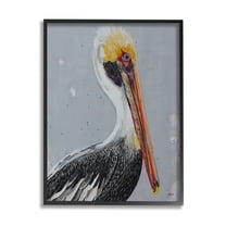 Stupell Industries Nautical Pelican Portrait Animals & Insects Painting Black Framed Art Print Wall Art, 11 x 14