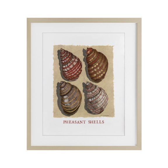 Stupell Industries Nautical Pheasant Shells Birch Framed Print Under Glass design by Nancy Overton, 21 x 17