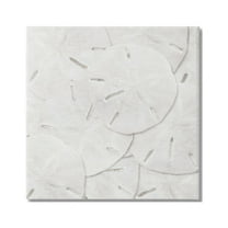 Stupell Industries Nautical Sand Dollars Animals & Insects Painting Gallery Wrapped Canvas Print Wall Art, 17 x 17