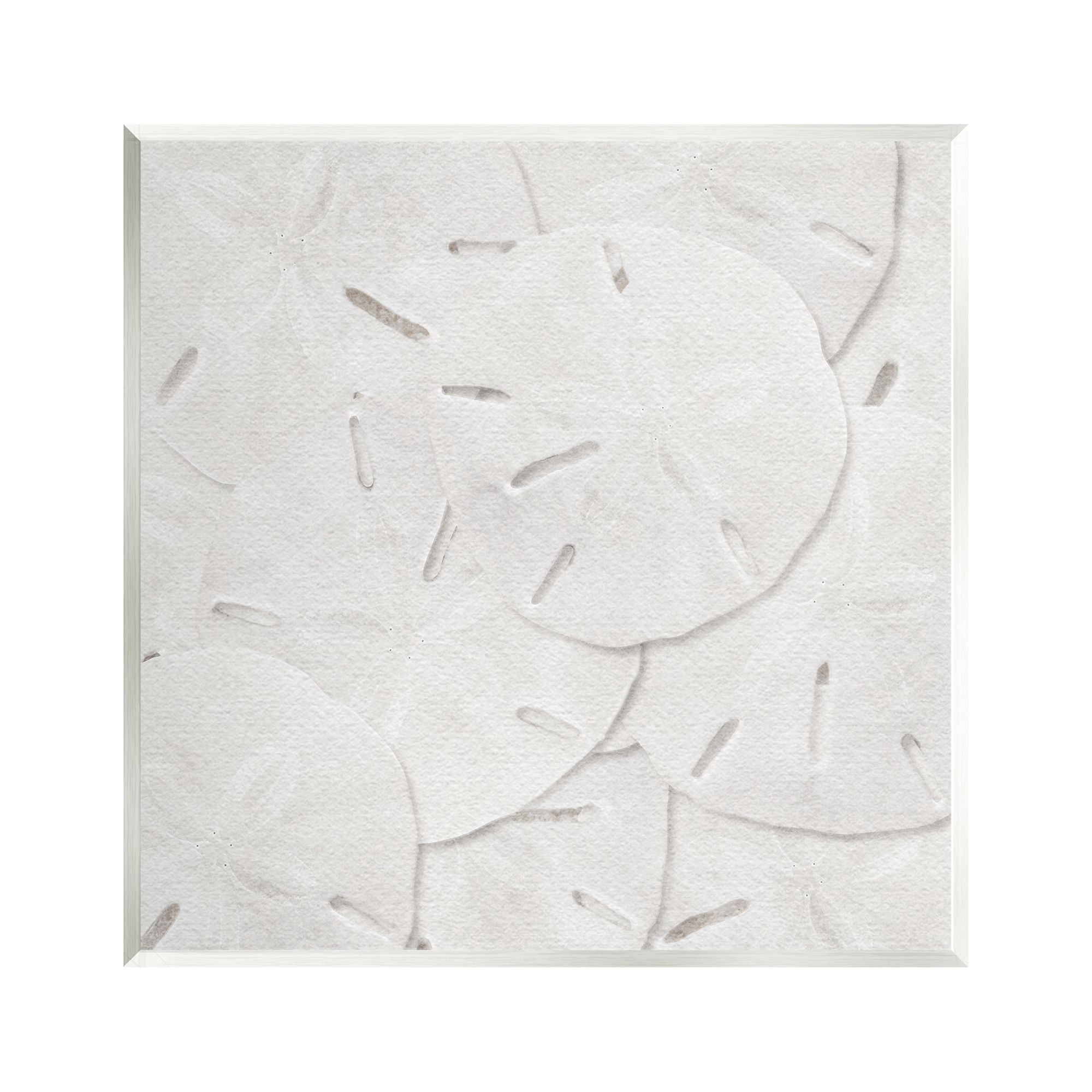 Stupell Industries Nautical Sand Dollars Animals & Insects Painting Unframed Art Print Wall Art, 12 x 12