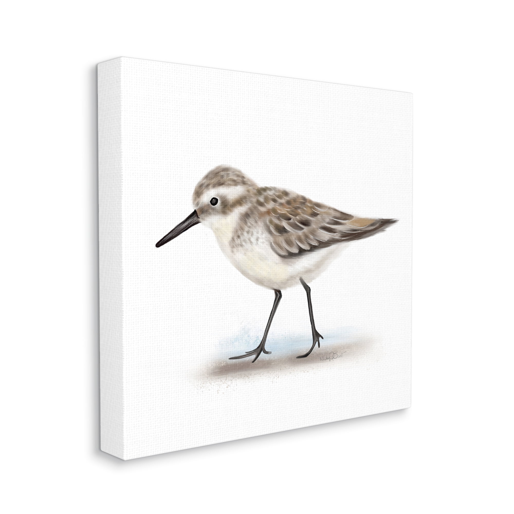 Stupell Industries Nautical Sandpiper Bird on Sand Speckled Feathers Modern Drawing Gallery-Wrapped Canvas Print Wall Art, 36 x 36, Design by Studio Q