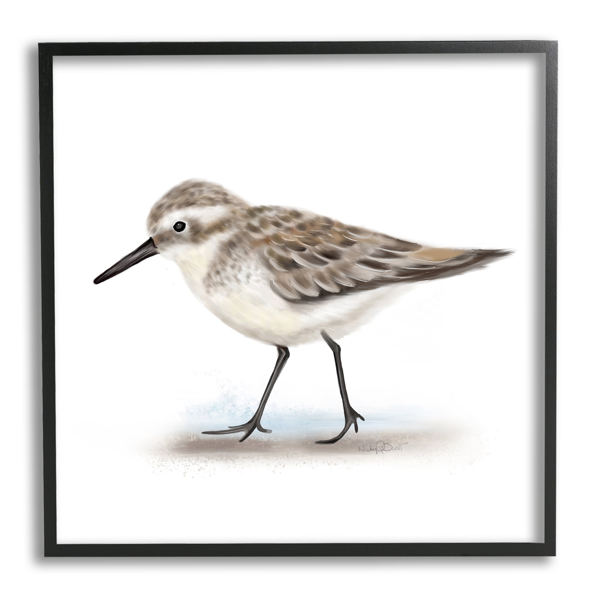 Stupell Industries Nautical Sandpiper Bird on Sand Speckled Feathers, 12 x 12, Designed by Studio Q