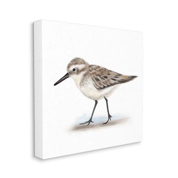 Stupell Industries Nautical Sandpiper Bird on Sand Speckled Feathers, 30 x 30, Designed by Studio Q