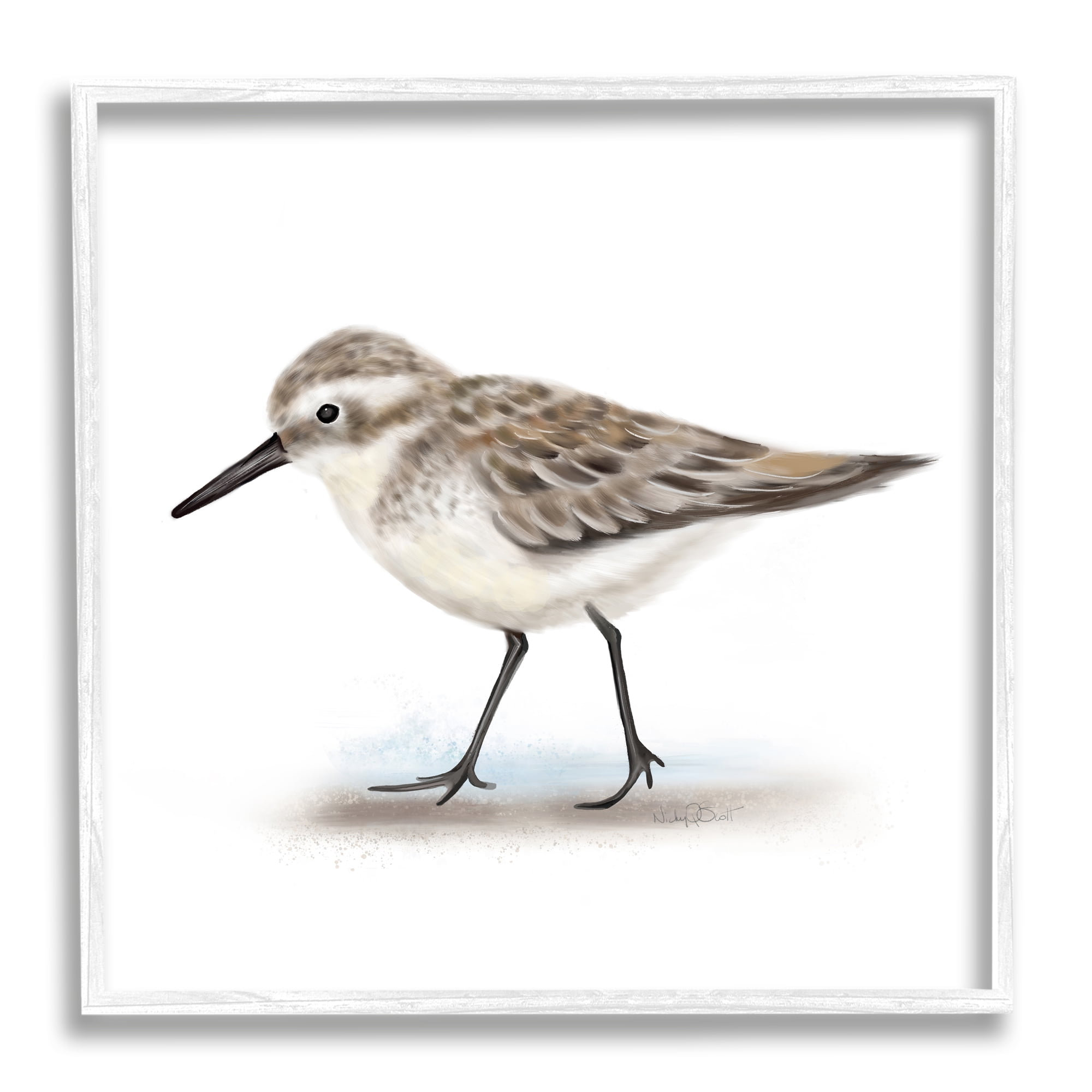 Stupell Industries Nautical Sandpiper Bird on Sand Speckled Feathers Modern Drawing White Framed Art Print Wall Art, 12 x 12, Design by Studio Q