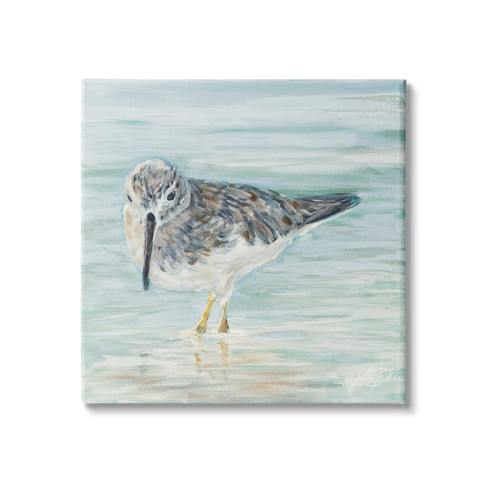 Stupell Industries Nautical Sandpiper Shallow Beach Waters Traditional Bird, 17 x 17, Design by Julie DeRice
