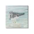 thumbnail image 1 of Stupell Industries Nautical Sandpiper Shallow Beach Waters Traditional Bird, 24 x 24, Design by Julie DeRice, 1 of 6