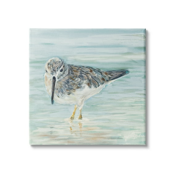 Stupell Industries Nautical Sandpiper Shallow Beach Waters Traditional Bird, 30 x 30, Design by Julie DeRice