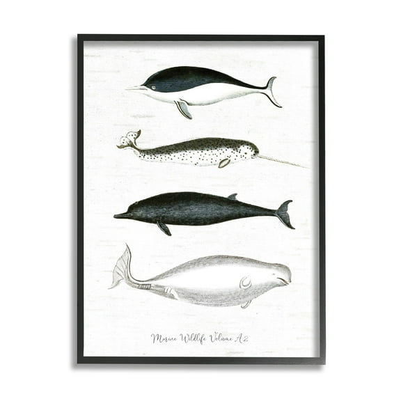 Stupell Industries Nautical Sea Life Whales Narwhal Marine Drawings Graphic Art Black Framed Art Print Wall Art, Design by Lettered and Lined